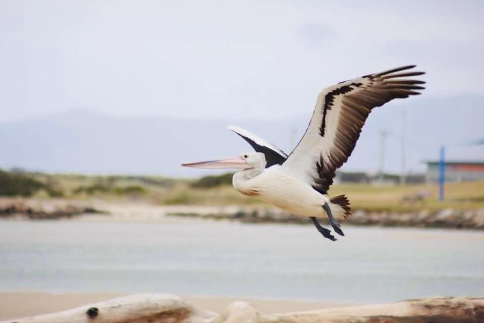 Pelican Sands Скамандр Екстер'єр фото